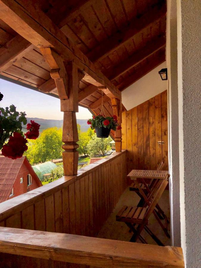 Pensiunea Roca Maramures Deseşti Dış mekan fotoğraf