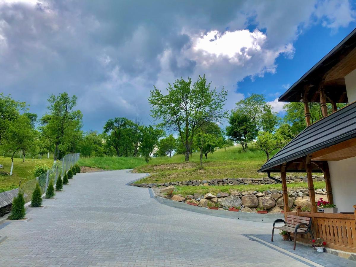 Pensiunea Roca Maramures Deseşti Dış mekan fotoğraf