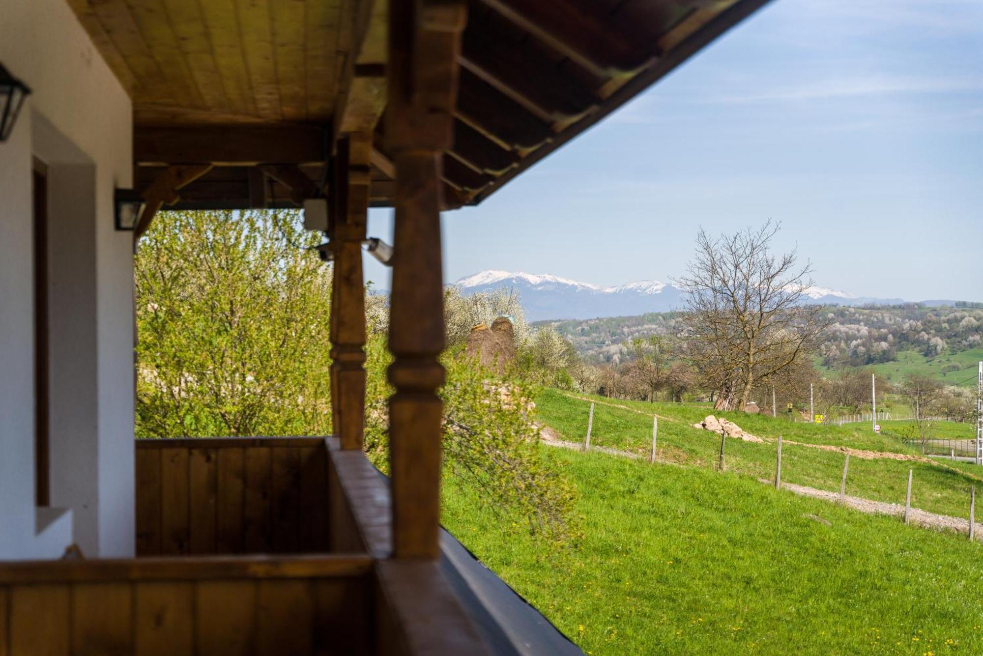 Pensiunea Roca Maramures Deseşti Dış mekan fotoğraf