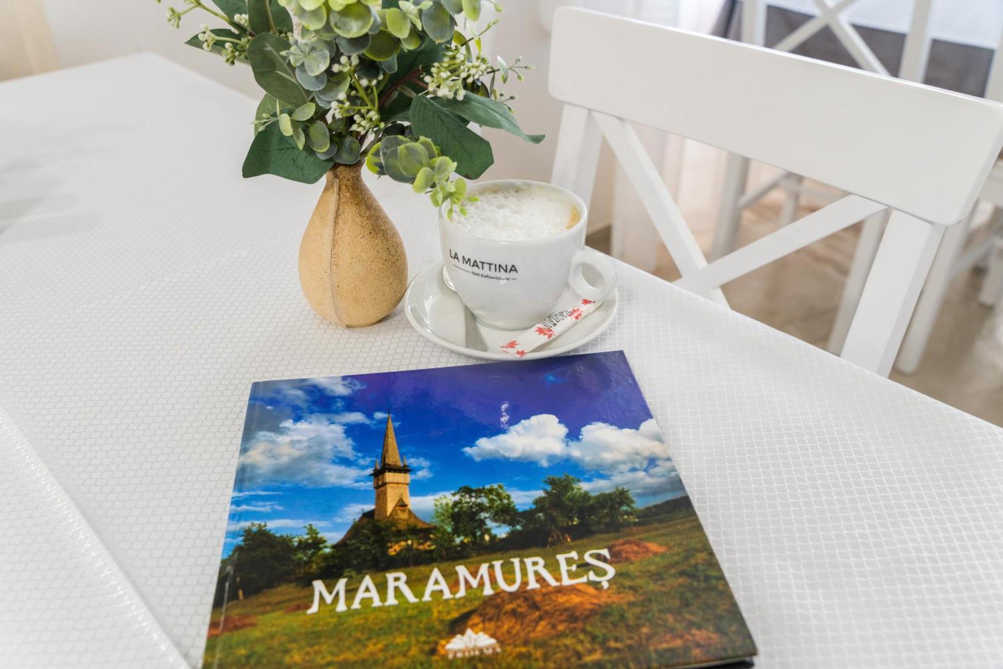 Pensiunea Roca Maramures Deseşti Dış mekan fotoğraf